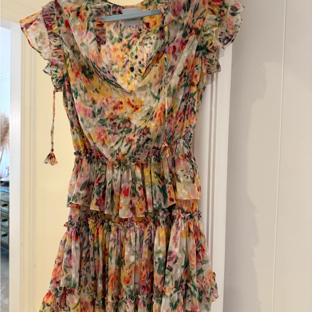 Floral Ruffle Dress - Picture 4 of 5